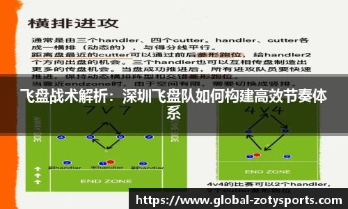 中欧体育
